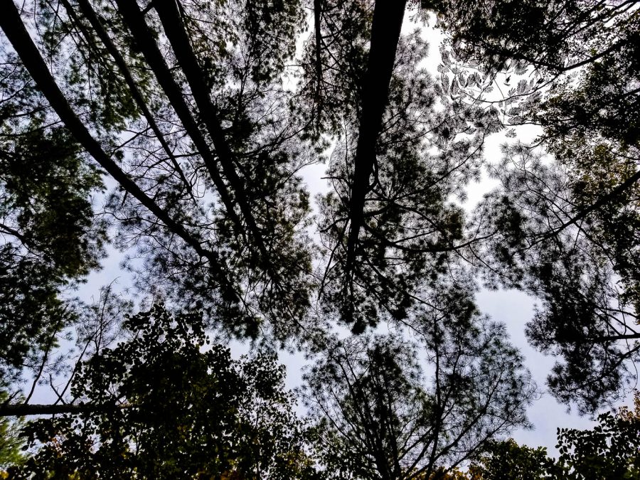 Episode 14 – Side by Side